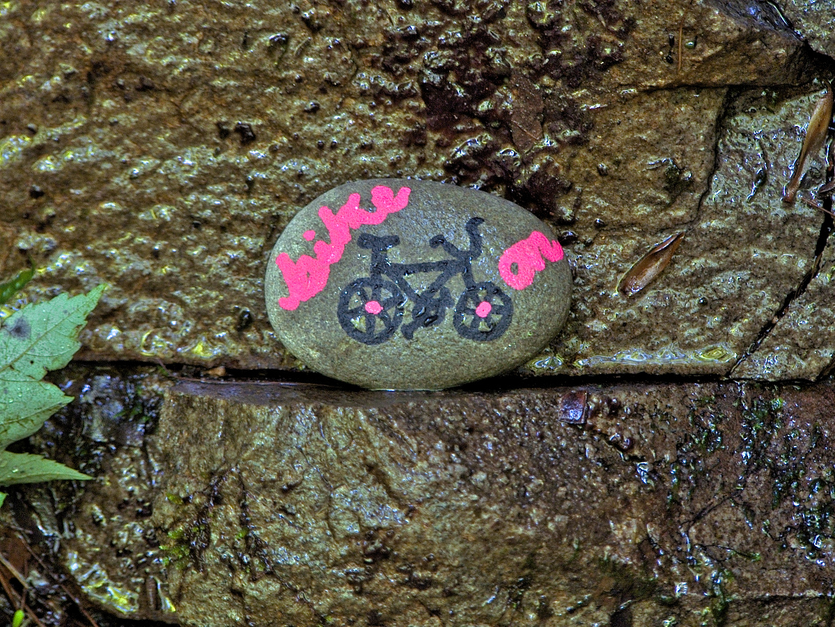 Hand painted stone with the words "bike on" placed on a small ledge of a wet rock alongside a trail.