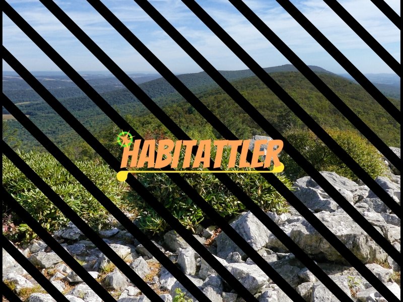 habitattler lockdown featured