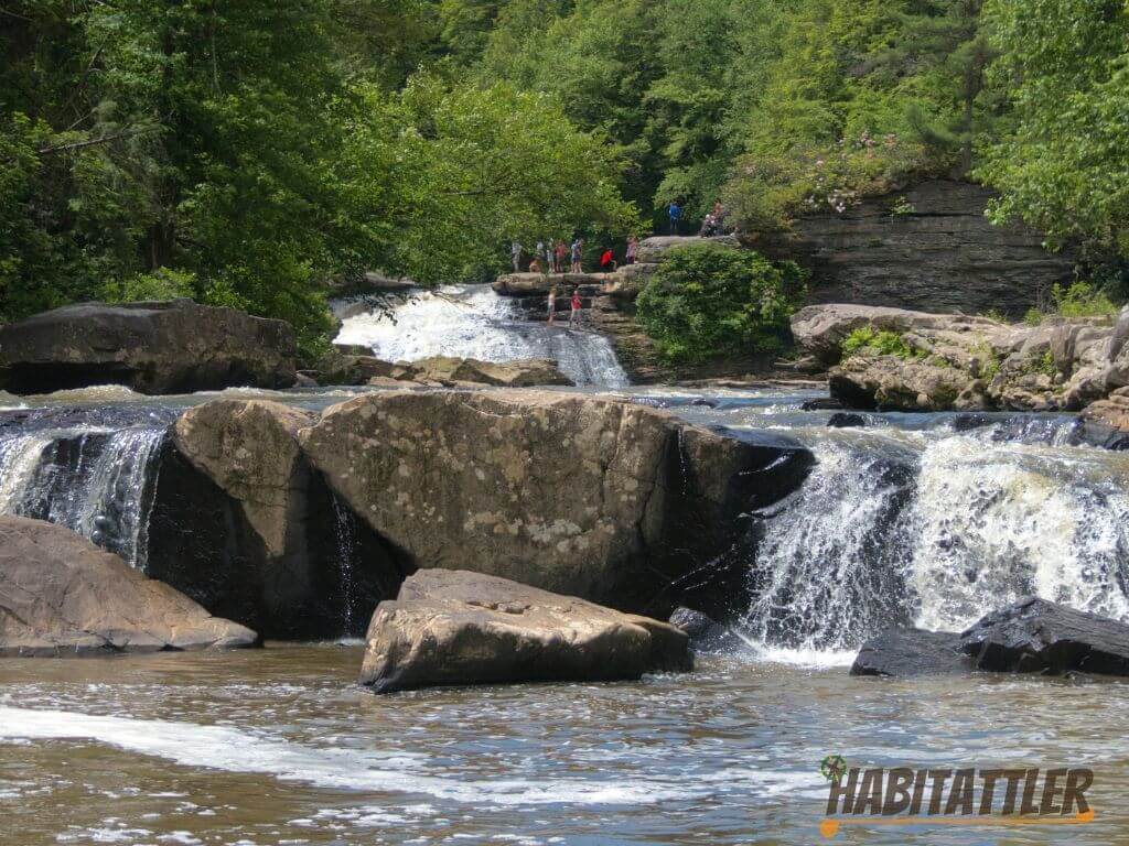 Front facing view of the Bottom tier of Swallow Falls.