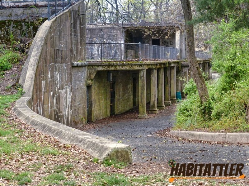 fort howard habitattler1