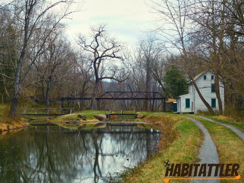 habitattler candocanal lockhouse