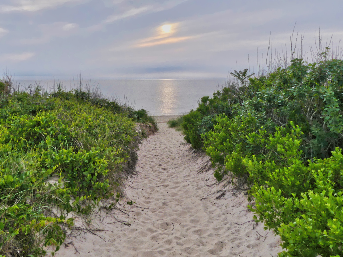 fHead on view of sandy bath through vegetation leading to the Higbee Beach beachhead as dusk begins to break. The outline of the su is muted through the cloud cover causing a faint reflection in the water.