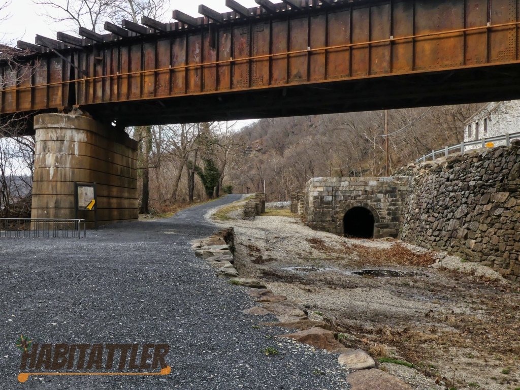 lock33 and bypass flume habitattler