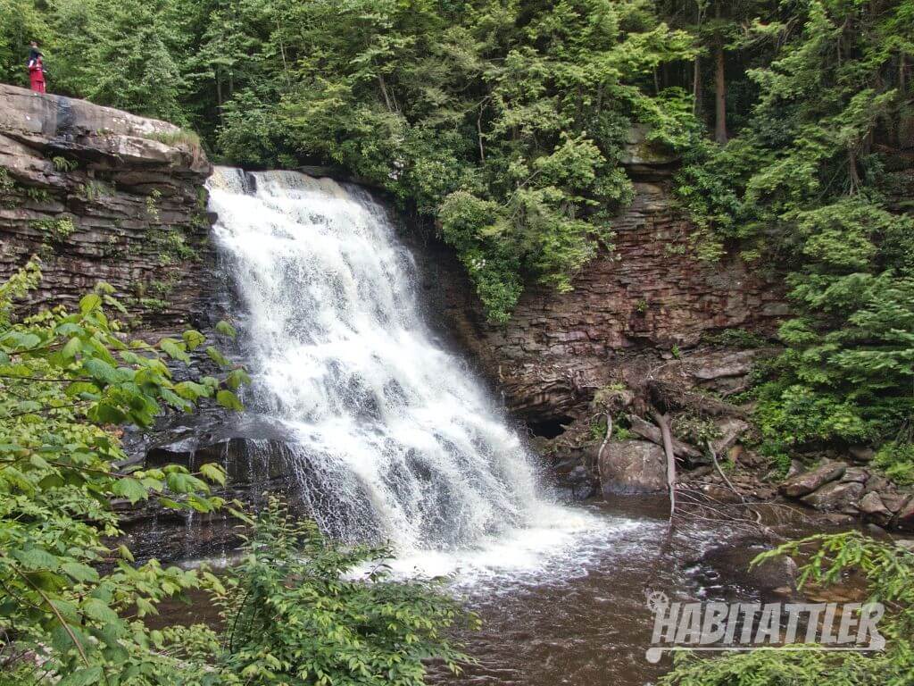 View of Muddy Creek Waterfall in Summer Foliage.