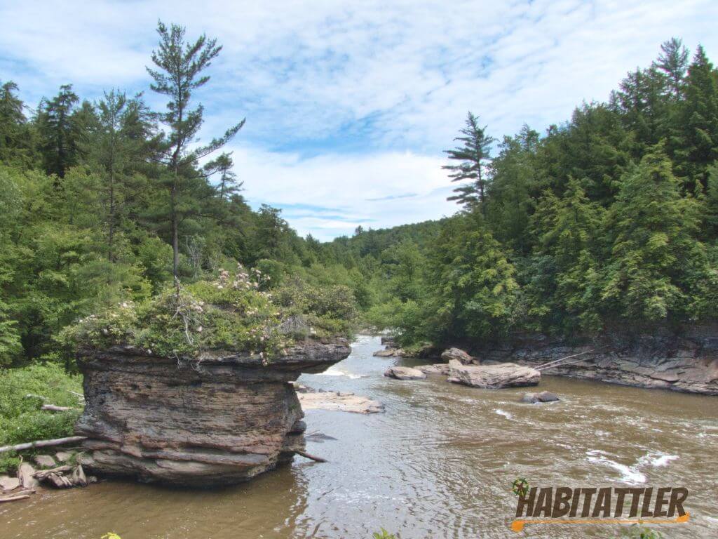 Swallow Falls, Off the Wall Garrett County's Gallery of Natural Beauty